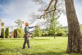 Best Tree and Shrub Care  in Queensland, MD